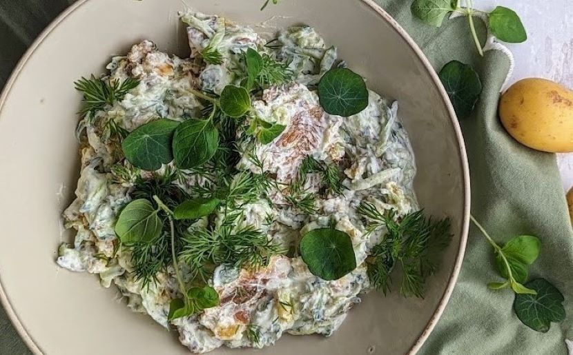 Smashed potato salat Smashed potato salat
